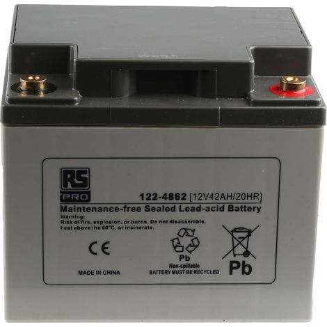 Batterie au plomb étanche RS PRO 12V 42Ah ( Prix pour 1 ) (1/2)
