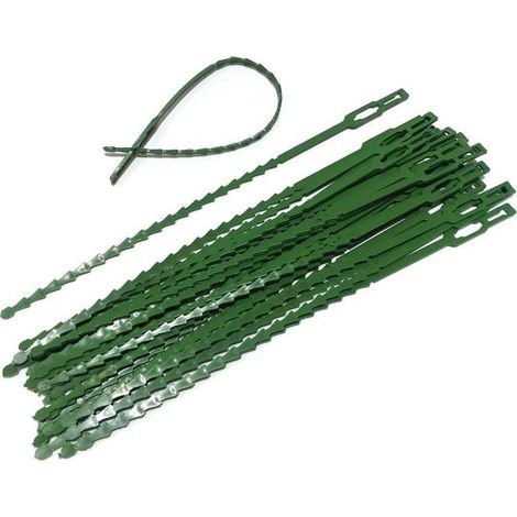 Attaches réglables pour plantes lot de 30 - Liens de serrage en plastique pour jardin - Serre câbles réutilisables pour plantes vertes et arbustes, Vert (1/4)