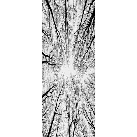 Papier peint - Papier peint autocollant - PVC - Repositionnable - Support prêt à coller - Film adhésif pour portes - Papier peint mural - Pour le salon, le bureau, la chambre - 200 x 77 cm (1/5)