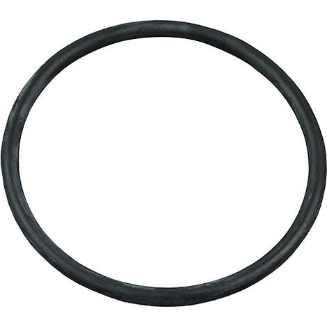 Astralpool – Joint torique diffuseur pour pompes piscine – D. 56,7x3,5 – Compatible modèles Victoria, Sprint, Nautilus, Aquamar
