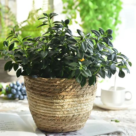Robuster, multifunktionaler, handgefertigter Strohblumenkorb für Zuhause – Primärfarbe L