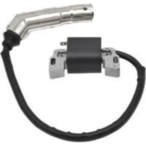 Bobine d'allumage et rotor magnéto-électrique de remplacement pour moteur Briggs & Stratton 592841 799650 595304 795315 21A807 21A877 21A902 21A907 21A907 21A907
