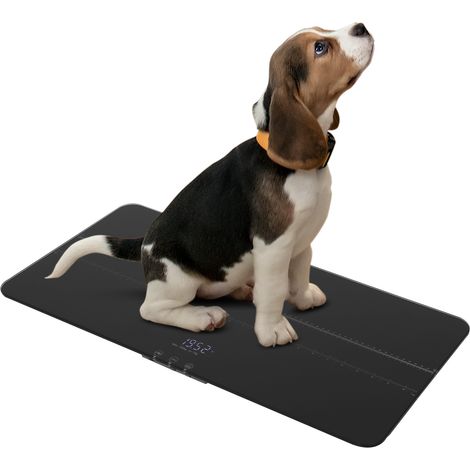 Balance numérique pour animal de compagnie, plage de mesure de 50g à 100 kg, balance numérique pour animaux de compagnie de petite, moyenne et grande taille (1/5)
