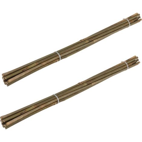 Tuteurs pour plantes - 20x - bambou - H60 cm - support pour plantes - tuteurs en bambou/cannes de Tonkin (1/3)