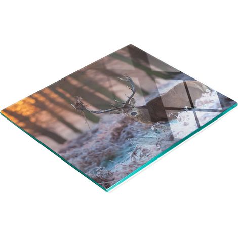 Planche à apéritif en verre « Lever de soleil sur un cerf » 60 x 52 cm (1/5)