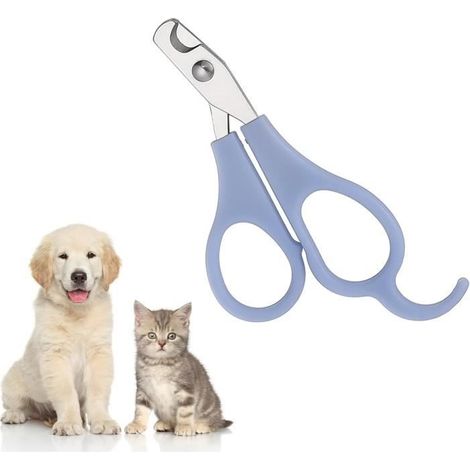 Coupe Griffes Chat,Coupe Ongle Chien, Très Bon Coupe Griffes pour Les Chats, pour Chat Chiot Lapin Oiseau et Petits Animaux(Bleu) (1/4)