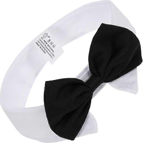 Collar con pajarita para cachorros y gatos con clip fácil de poner. (1/5)