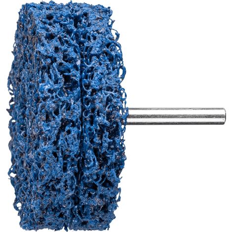 PFERD POLICLEAN PLUS PCLZY Reinigungsvlies Ø 75x26 mm Schaft-Ø 6 mm für grobe Reinigungsarbeiten (1/5)