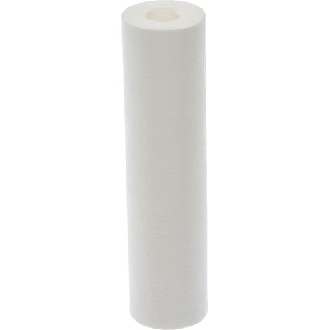 estruso cartuccia del filtro 20μ - Formato standard 10 - 6 mesi di durata