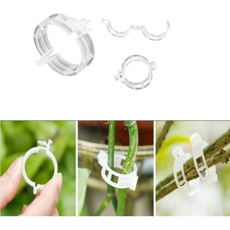 Pinces pour support de plantes/treillis, lot de 100 (1/5)