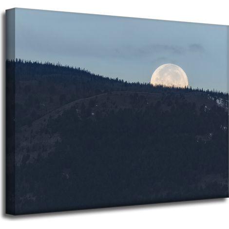 Leinwanddruck Natur Aufgehender Mond 50x40