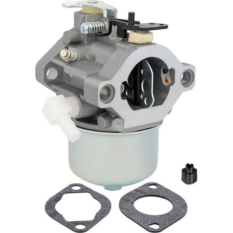699831 Carburateur pour Tondeuse Briggs & Stratton – Moteurs 283702, 283707, 284702 – Avec Pièces (1/5)