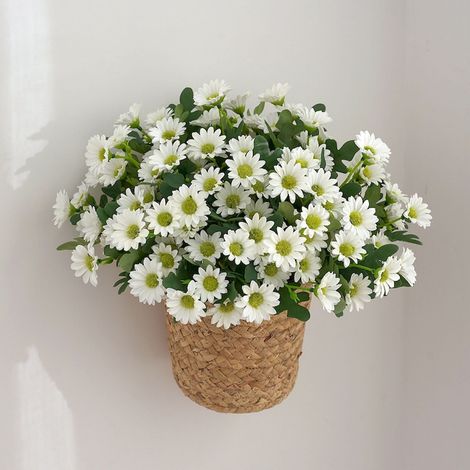 Chrysanthemum Artificiel - Fleur en Soie pour Décoration Intérieure et Extérieure - Bouquet de Pivoines Fausse Fleurs pour Pot, Balcon, Jardin, Vase - 1 Pièce (1/5)