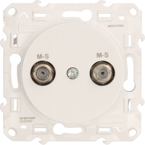 Steckdose Schneider Odace mit Schraubklemmen und IP21