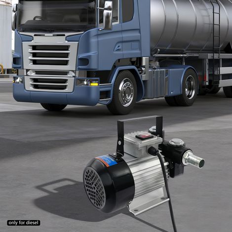 60L/min 550W Electric Transfer Pump Diesel Transfer Pump (1/5)