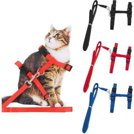 (Blau, Schwarz, Rot) Katzengeschirr- und Leinen-Set – 3-teilig, verstellbar – ausbruchsicher – bequemes Nylon – für draußen (1/4)