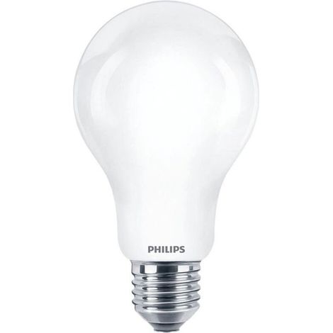 Ampoule Led Standard E27 23 W 3452 Lm 6500 K Lumière Froide ø9,5 X 16,5 Cm - Ampoule Led Standard E27 23 W 3452 Lm 6500 K Lumière Froide ø9,5 X 16,5 Cm