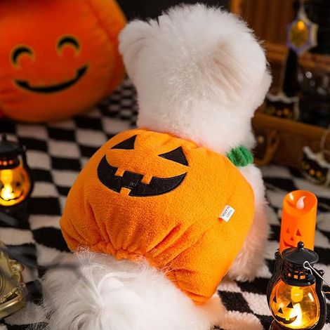 Pumpkin Costume for Small Dogs Cats - Pet Halloween Outfits Fall Clothes for Pets Party Photo Shoot (1/2)