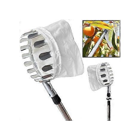 Raccoglifrutta con manico telescopico 6M