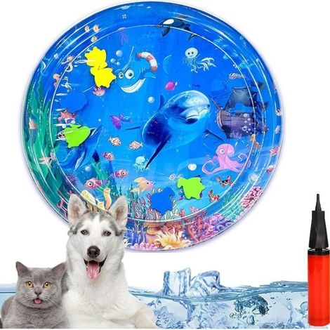 Jouet de Tapis spongieux d’Eau pour Chats, Tapis de Jeu d’Eau sensoriel pour Chats, Tapis de Jeu d’Eau de capteur (1/4)