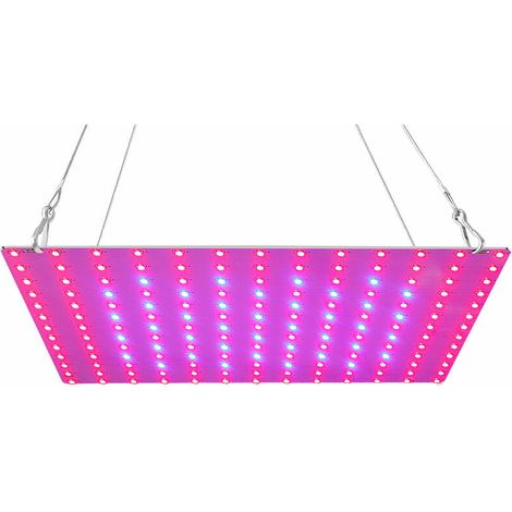 Éclairage horticole LED, lampe de croissance à spectre complet rouge et bleu, panneau de 81 LED pour plantes succulentes, serre, culture hydroponique d'intérieur, croissance végétative, prise britanni