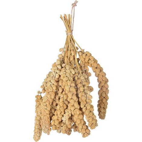 Millet pour oiseaux à suspendre - Beige - 400 g - Livraison gratuite (1/3)