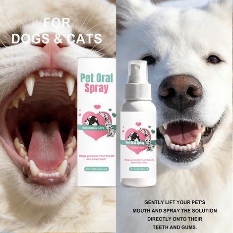 Spray buccal pour animaux, convient aux chats et aux chiens, rafraîchit l'haleine, élimine la plaque dentaire, protège les gencives et les dents – 100 ml (1/5)