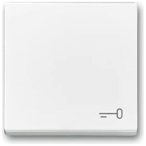 Busch-Jaeger Wippe mit Aufdruck studioweiß 2520 TR-84 (1/2)