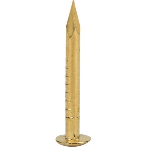 Lot de 100 clous, QttvbTna, laiton, 10 mm/15 mm/18 mm, dorés (1/5)