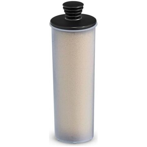 Kärcher Cartouche filtrante pour nettoyeurs vapeur SC 3 , Gris