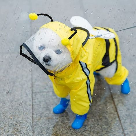 Imperméable chien forme abeille avec bandes réfléchissantes, veste pluie imperméable et respirante, poncho à capuche couvrant tout le corps, manteau mignon pour petit et moyen chien (jaune, M) (1/5)