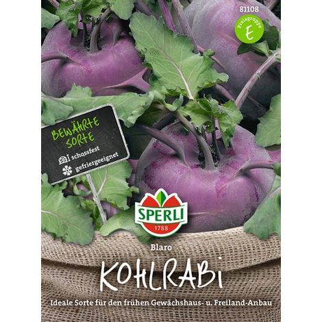 Sperli Kohlrabi Blaro blau - Gemüsesamen (1/4)