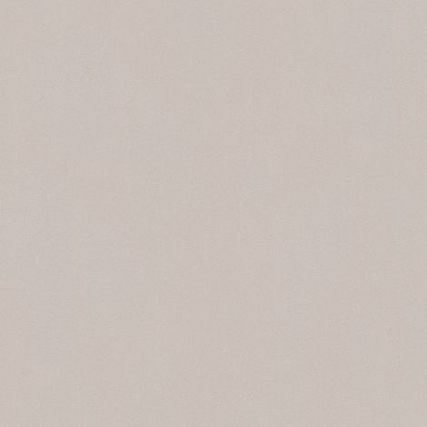 Papiers peints unis gris clair | Papier peint moderne gris pour style scandinave | Tapisserie unie tendance pour chambre d'adulte - 10,05 x 0,53 m (1/5)