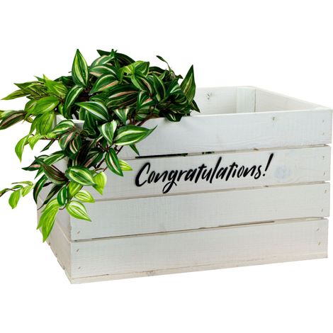 Holzkiste Johanna weiss "Congratulations" (1/3)