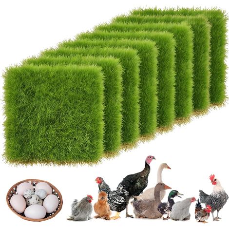 Nids de Ponte pour Poules, 8 pièces, 30x30cm, lavables, en Plastique, Vert Pour fermes surface antidérapante ventilés. (1/5)