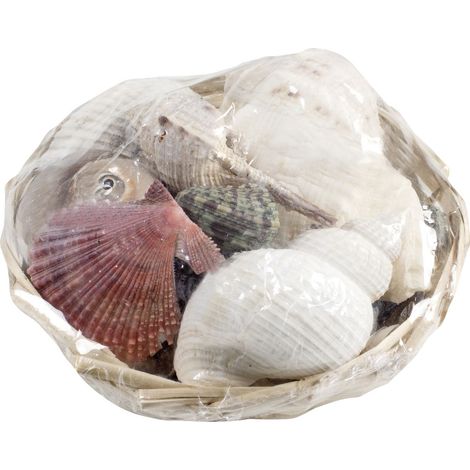 Glorex Muschelmix 14 cm 350 g Deko-Accessoires