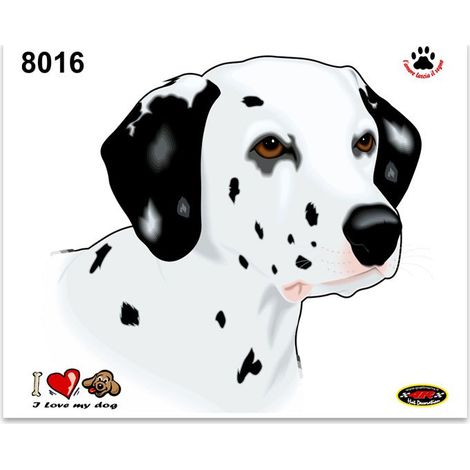 Adesivi Stickers Medi Cane Dalmata 13,5 x 16 cm (1/4)