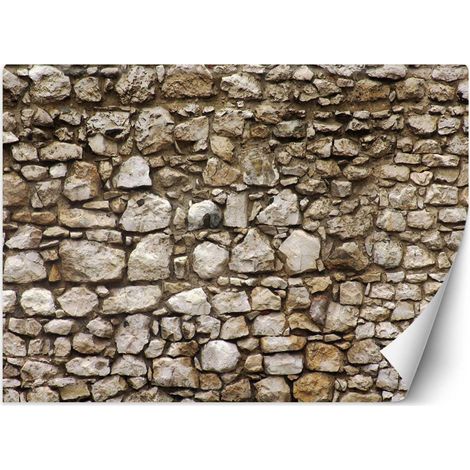 Carta Da Parati, Ottica di pietra parete Muro di pietra 3d - 200x140 (1/5)
