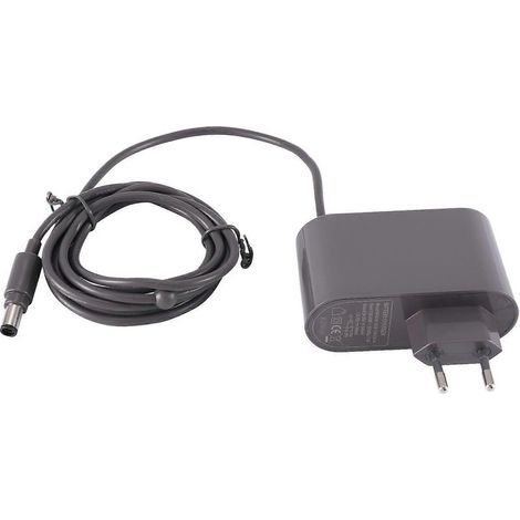 Chargeur pour aspirateur Dyson DC30, DC31, DC34, DC35, DC44, DC45, DC56, DC57 - Adaptateur secteur prise UE (1/5)