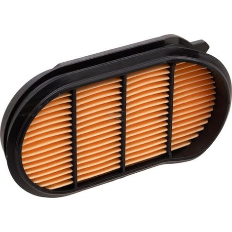 Filtro de aire seguridad'oblongo DONALDSON P957712 (1/4)