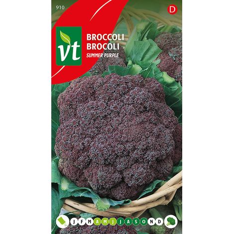 Brocoli summer Purple - Ca. 1 gr (Livraison Gratuite)