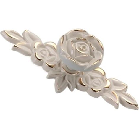 Poignées de meubles cuisine, boutons et style rose, portes (1/5)