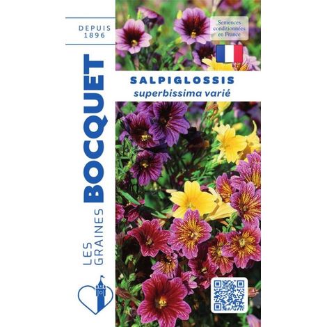 Salpiglossis à grande fleur varié - 0,8g