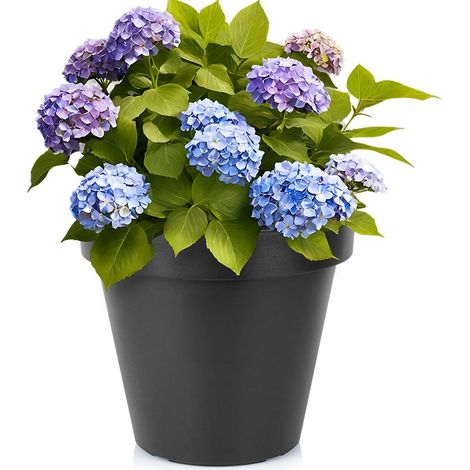 Maceta de jardín de plástico negra redonda 39 cm (1/5)