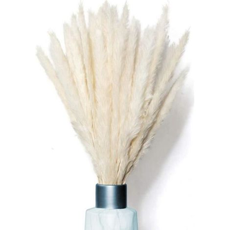Herbe de Pampa - - 30 pièces - Beige - Fleurs séchées - Décoration intérieure (1/3)