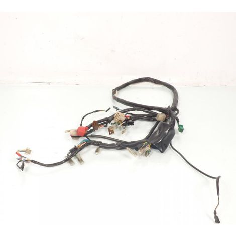 [PRODUIT D'OCCASION] Faisceau électrique origine pour scooter Honda 100 SCV Lead 2003 (1/4)