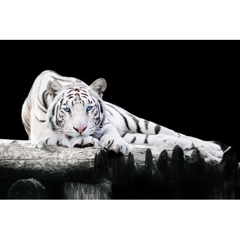 Tableau sur toile pause délicate 45x65 cm - Impression sur Toile Murale Décorative - Image imprimée en HD sur Toile - Toile sur Châssis en Bois FSC - Fabriqué en France (1/5)