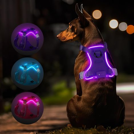 Harnais Lumineux Rechargeable LED, pour Chien Moyen 11-30 kg, 3 Modes d’Éclairage, Réglable, Étanche pour Promenades Nocturnes – Violet M (1/5)