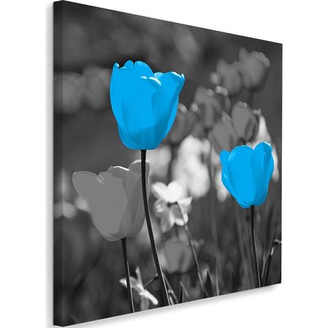 Tableau sur toile Fleurs de tulipes Nature Bleu 50x50 (1/5)