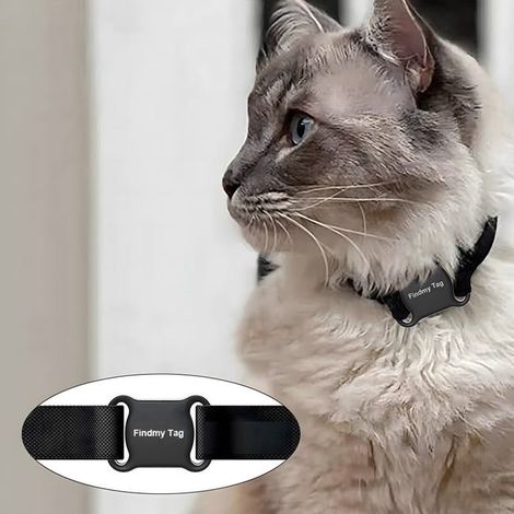 Traceur GPS anti-perte pour chien et chat - compatible Apple et Android - noir avec inscription + collier (1/5)